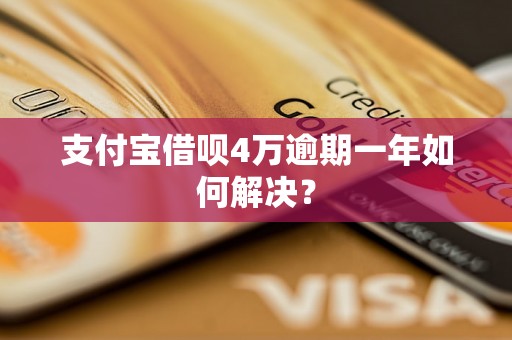 支付宝借呗4万逾期一年如何解决？