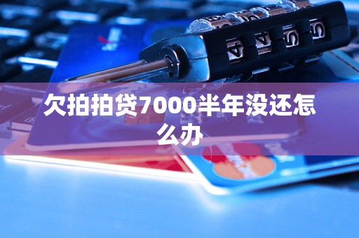 欠拍拍贷7000半年没还怎么办