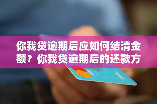 你我贷逾期后应如何结清金额？你我贷逾期后的还款方式有哪些？