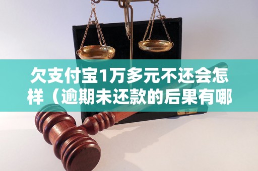 欠支付宝1万多元不还会怎样（逾期未还款的后果有哪些）