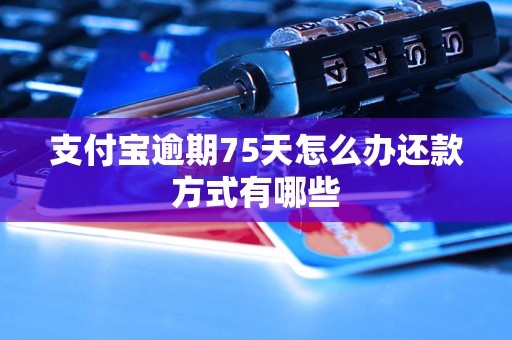 支付宝逾期75天怎么办还款方式有哪些