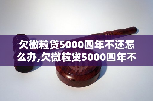 欠微粒贷5000四年不还怎么办,欠微粒贷5000四年不还会怎样