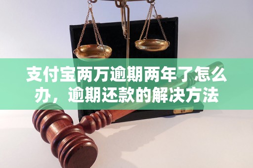 支付宝两万逾期两年了怎么办，逾期还款的解决方法