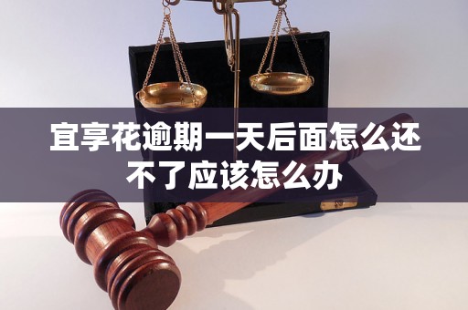 宜享花逾期一天后面怎么还不了应该怎么办