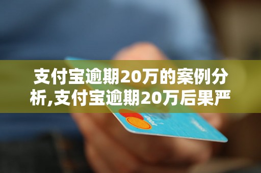 支付宝逾期20万的案例分析,支付宝逾期20万后果严重吗