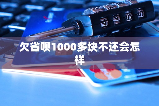 欠省呗1000多块不还会怎样