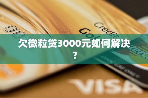 欠微粒贷3000元如何解决？