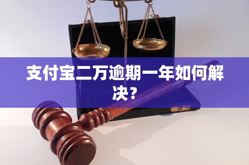 支付宝二万逾期一年如何解决？