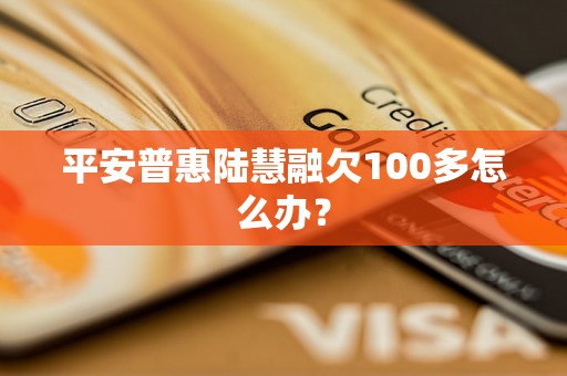 平安普惠陆慧融欠100多怎么办？