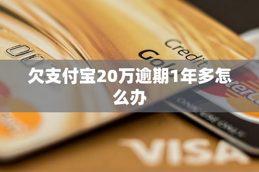 欠支付宝20万逾期1年多怎么办