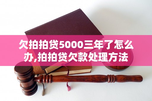 欠拍拍贷5000三年了怎么办,拍拍贷欠款处理方法