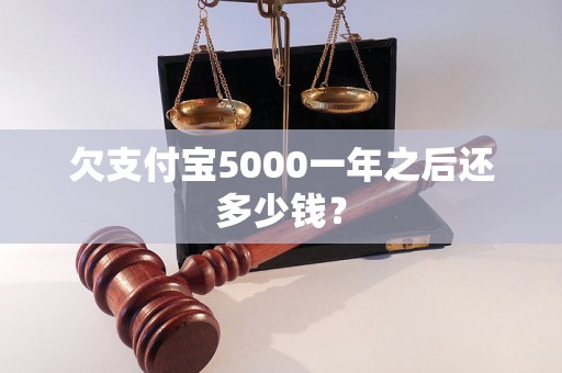 欠支付宝5000一年之后还多少钱？