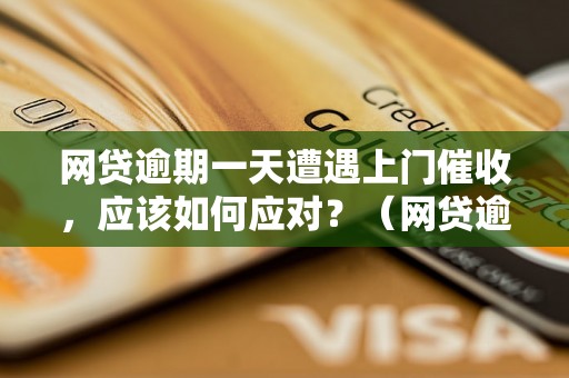 网贷逾期一天遭遇上门催收，应该如何应对？（网贷逾期催收经验分享）