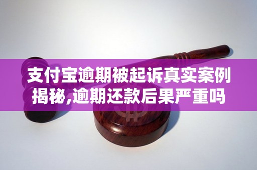 支付宝逾期被起诉真实案例揭秘,逾期还款后果严重吗