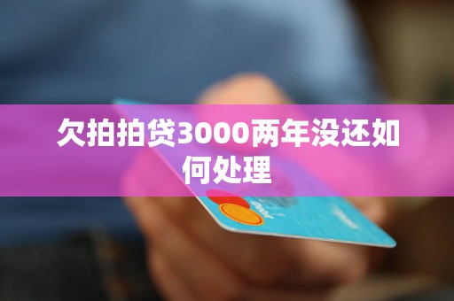 欠拍拍贷3000两年没还如何处理