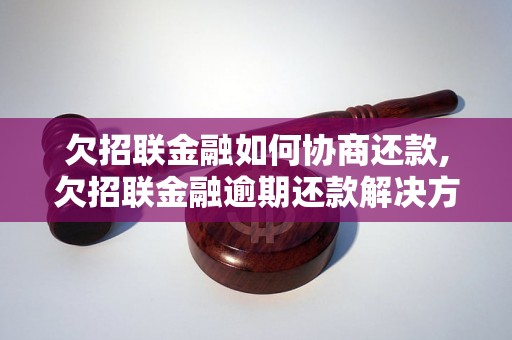 欠招联金融如何协商还款,欠招联金融逾期还款解决方案