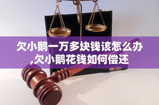 欠小鹅一万多块钱该怎么办,欠小鹅花钱如何偿还