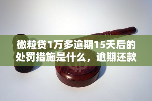 微粒贷1万多逾期15天后的处罚措施是什么，逾期还款后的影响有哪些