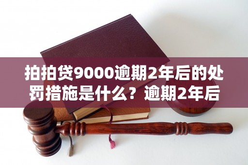 拍拍贷9000逾期2年后的处罚措施是什么？逾期2年后还能申请贷款吗？