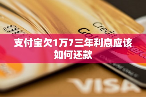 支付宝欠1万7三年利息应该如何还款