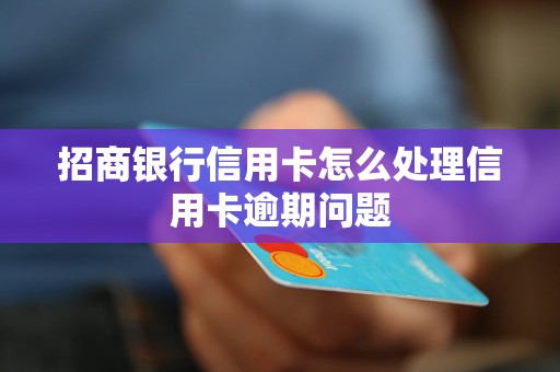 招商银行信用卡怎么处理信用卡逾期问题