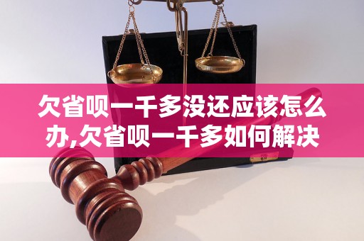 欠省呗一千多没还应该怎么办,欠省呗一千多如何解决