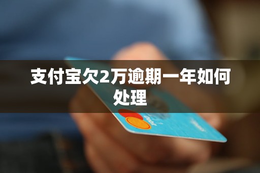 支付宝欠2万逾期一年如何处理