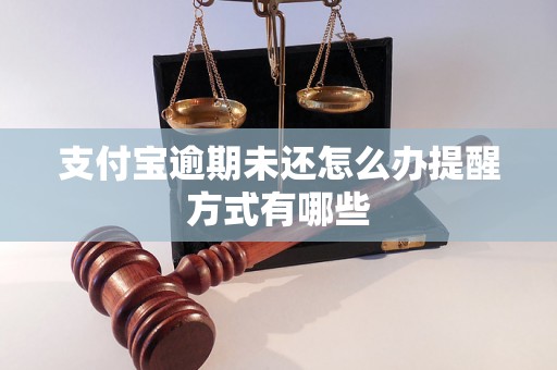 支付宝逾期未还怎么办提醒方式有哪些