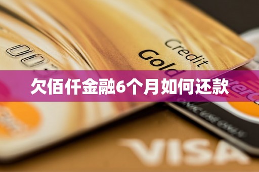 欠佰仟金融6个月如何还款