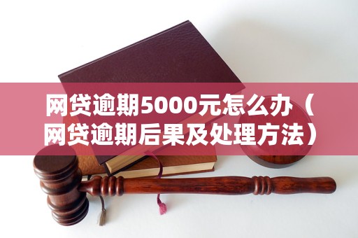 网贷逾期5000元怎么办（网贷逾期后果及处理方法）