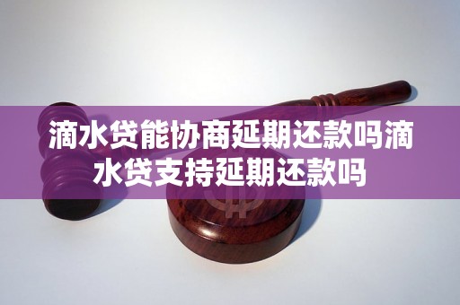 滴水贷能协商延期还款吗滴水贷支持延期还款吗