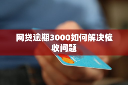 网贷逾期3000如何解决催收问题