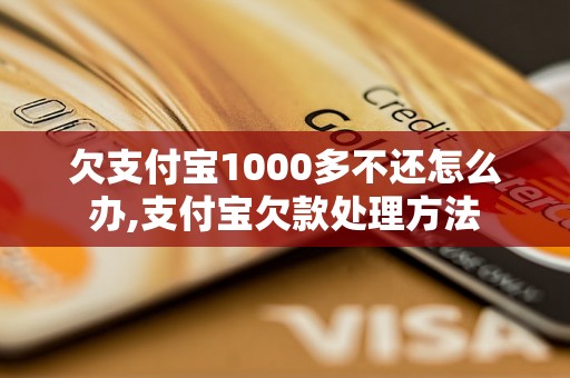 欠支付宝1000多不还怎么办,支付宝欠款处理方法