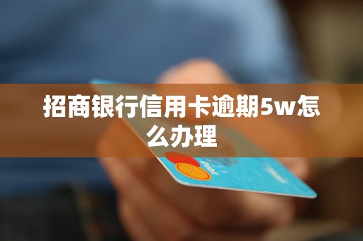 招商银行信用卡逾期5w怎么办理