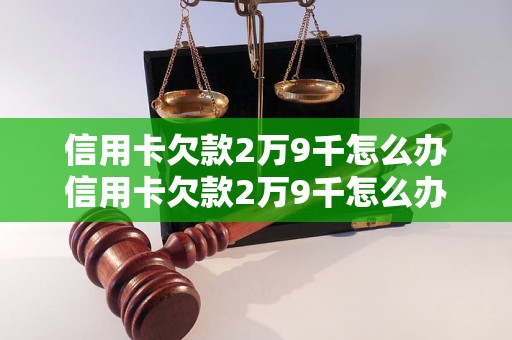 信用卡欠款2万9千怎么办信用卡欠款2万9千怎么办的有效解决方法