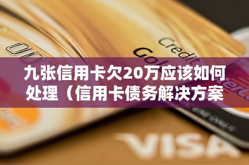 九张信用卡欠20万应该如何处理（信用卡债务解决方案）