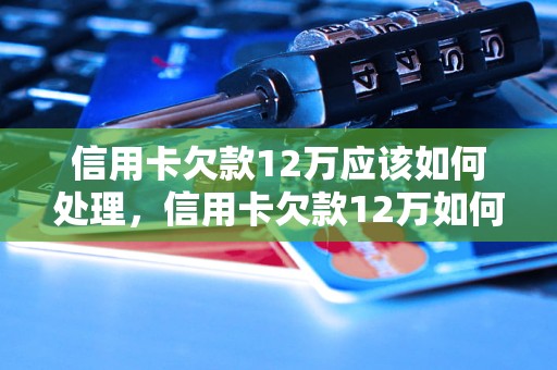 信用卡欠款12万应该如何处理，信用卡欠款12万如何解决