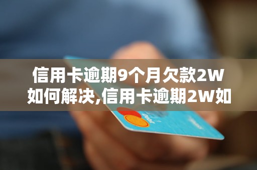 信用卡逾期9个月欠款2W如何解决,信用卡逾期2W如何处理