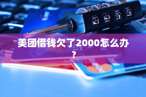 美团借钱欠了2000怎么办？