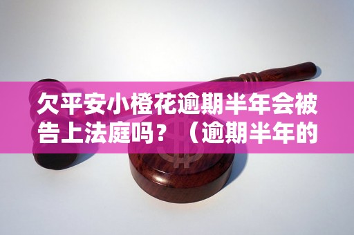 欠平安小橙花逾期半年会被告上法庭吗？（逾期半年的后果及应对措施）