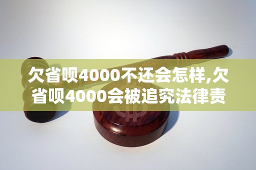 欠省呗4000不还会怎样,欠省呗4000会被追究法律责任吗