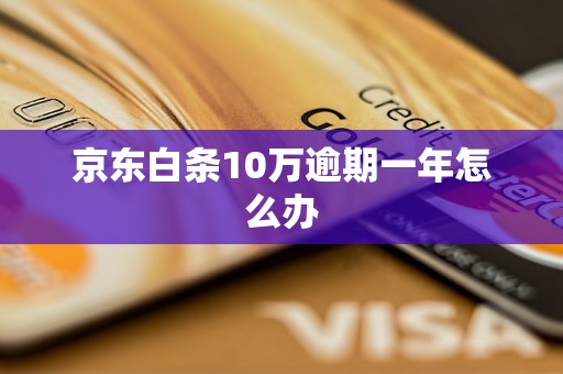 京东白条10万逾期一年怎么办