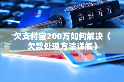 欠支付宝200万如何解决（欠款处理方法详解）