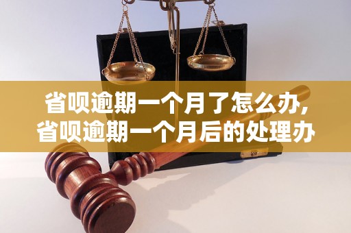 省呗逾期一个月了怎么办,省呗逾期一个月后的处理办法