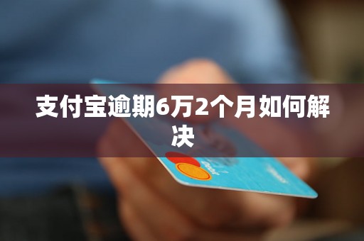 支付宝逾期6万2个月如何解决