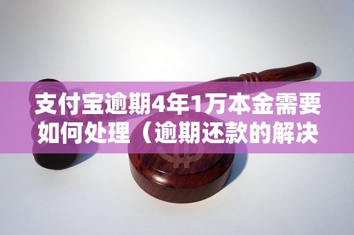 支付宝逾期4年1万本金需要如何处理（逾期还款的解决方法）