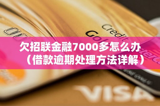 欠招联金融7000多怎么办（借款逾期处理方法详解）