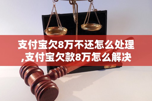 支付宝欠8万不还怎么处理,支付宝欠款8万怎么解决