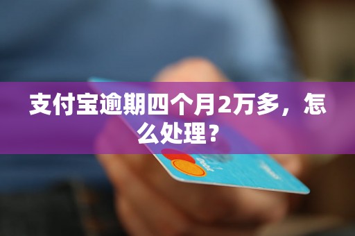 支付宝逾期四个月2万多，怎么处理？