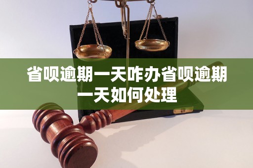 省呗逾期一天咋办省呗逾期一天如何处理